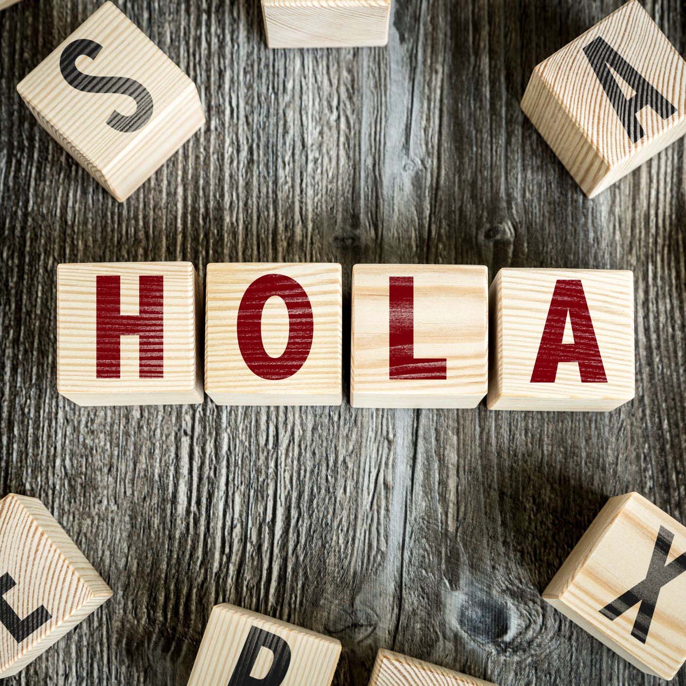 hola el torito